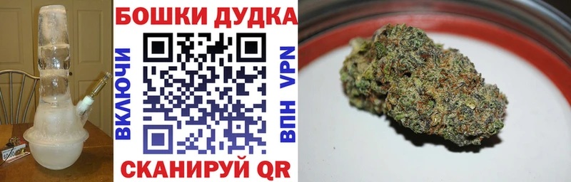Бошки Шишки план  Павловск 